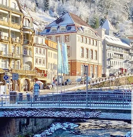 Gemuetliche Wohnung Im Zentrum Von Bad Wildbad Exterior photo